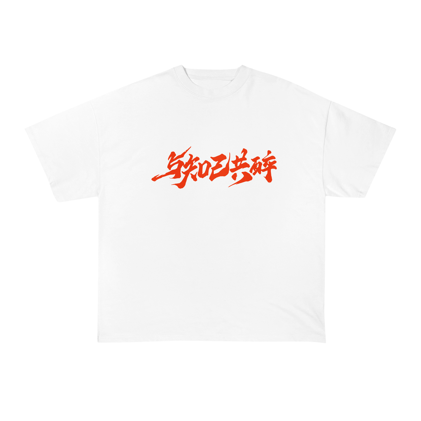 Dragon’s Blade Oversized Tshirt